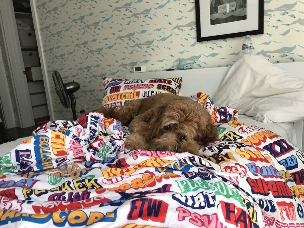 Photo by @Gmoneywebb