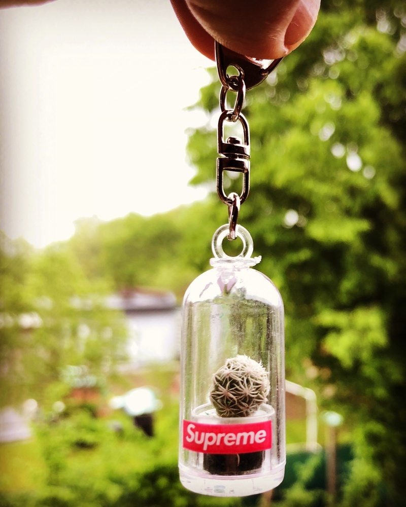 Photo by @Prince_moan