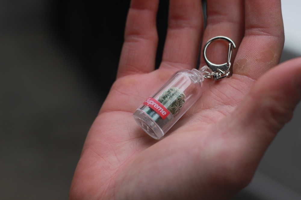 Photo by @gautam.nemani