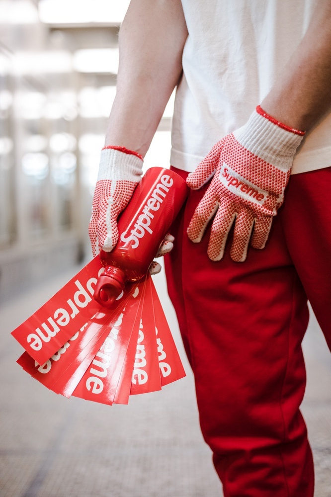 Photo by @dinosertovic