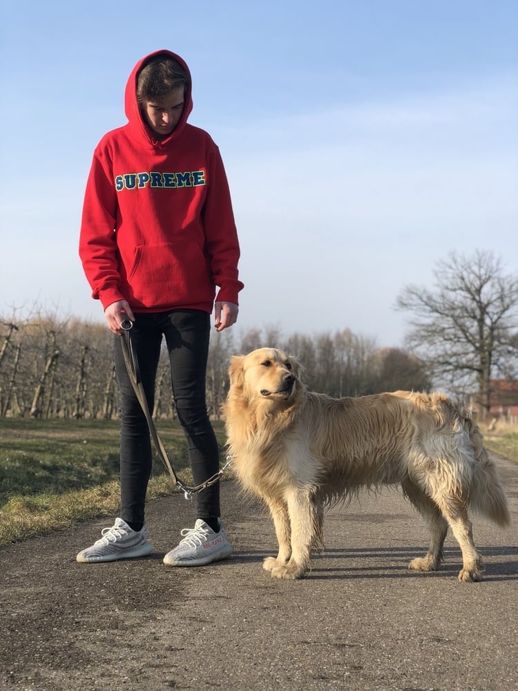 Photo by @matthiasboonen