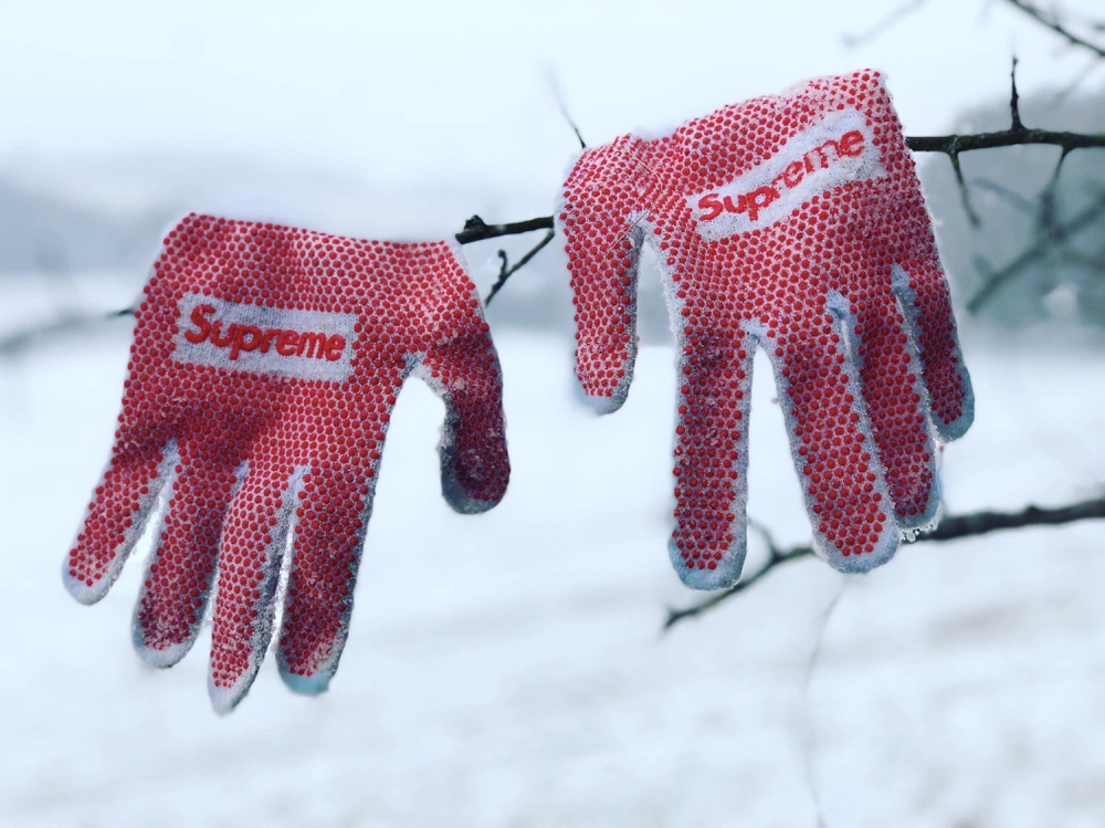 Photo by @will.6rown