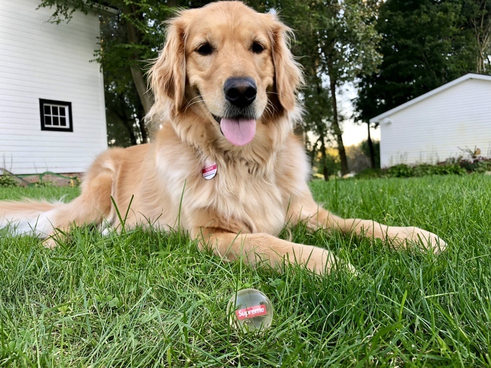 Photo by @Preme_traders