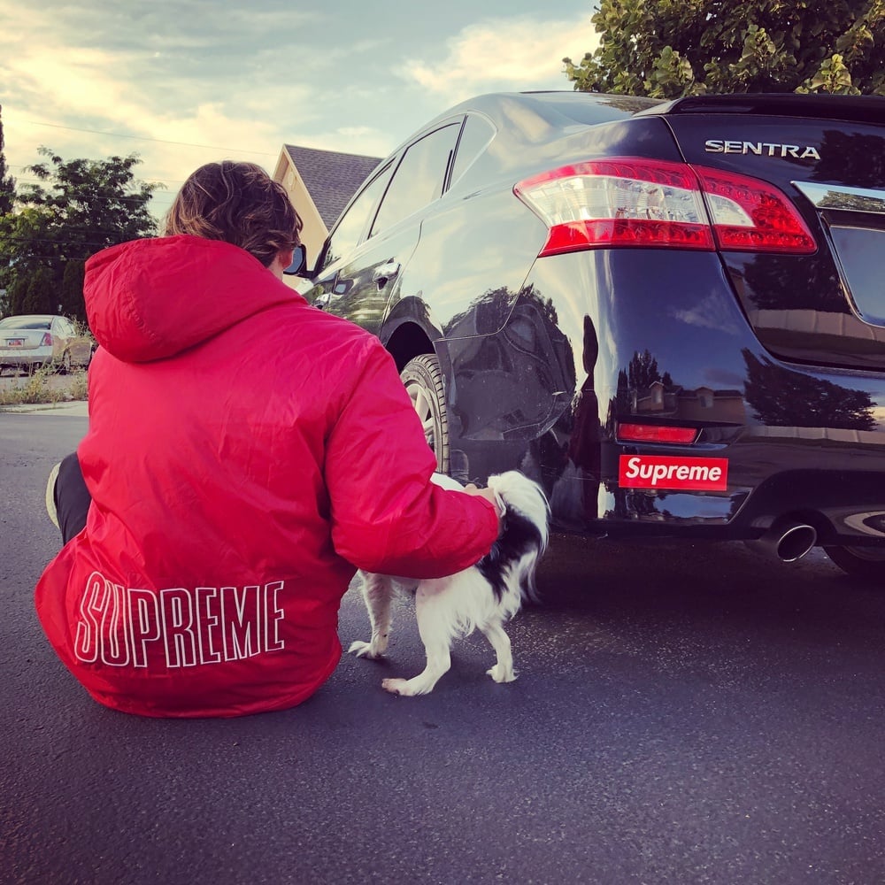 Photo by @Davidvazquez7743