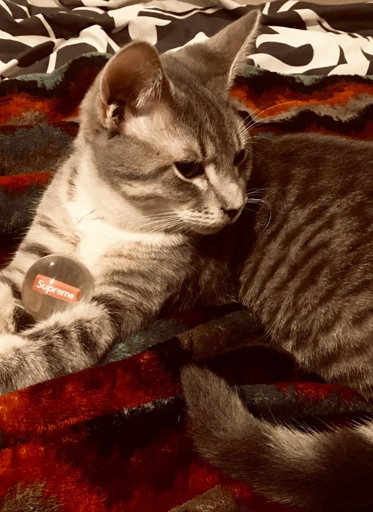 Photo by @xdistance13x