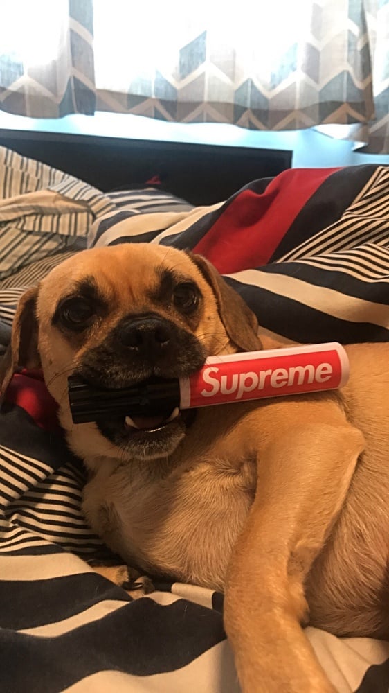 Photo by @eddie_hughes