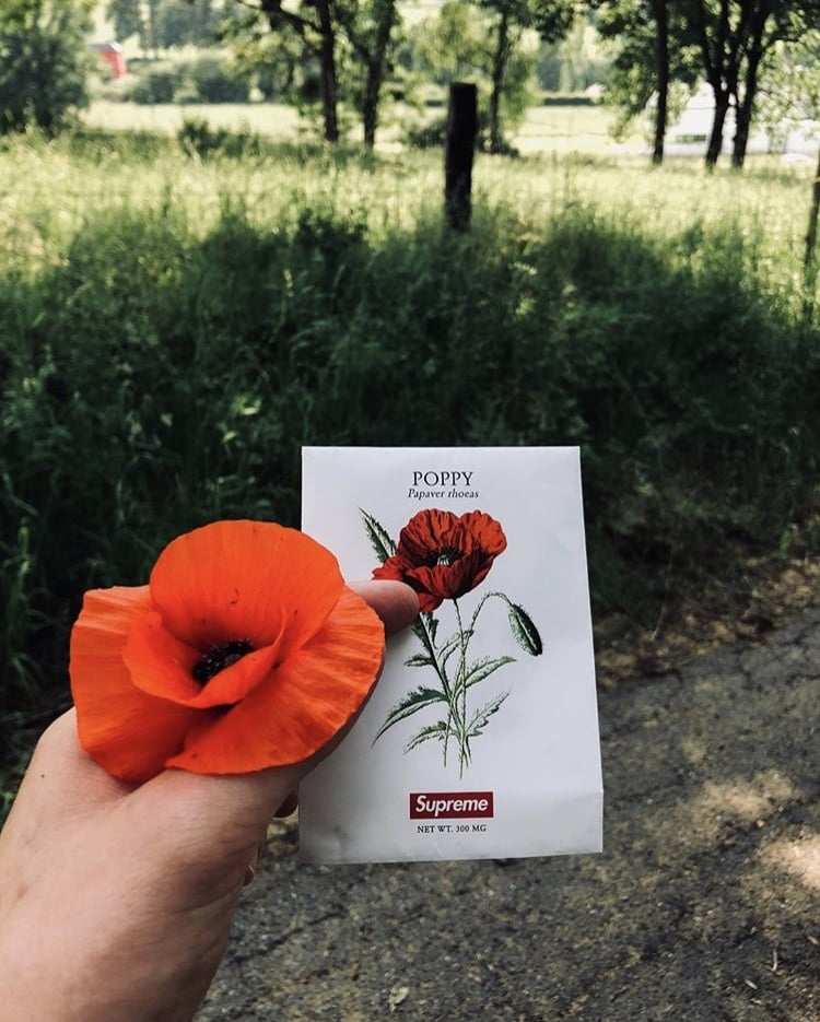 Photo by @Louis.sadzot