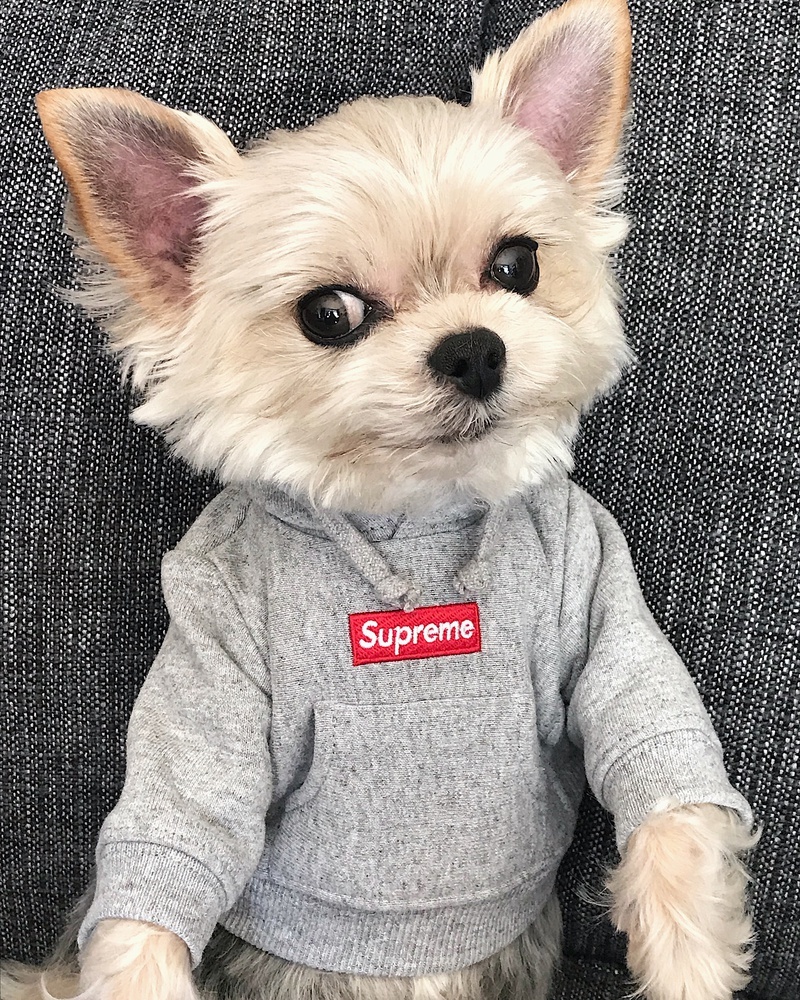 Photo by @poison_ivy_nyc