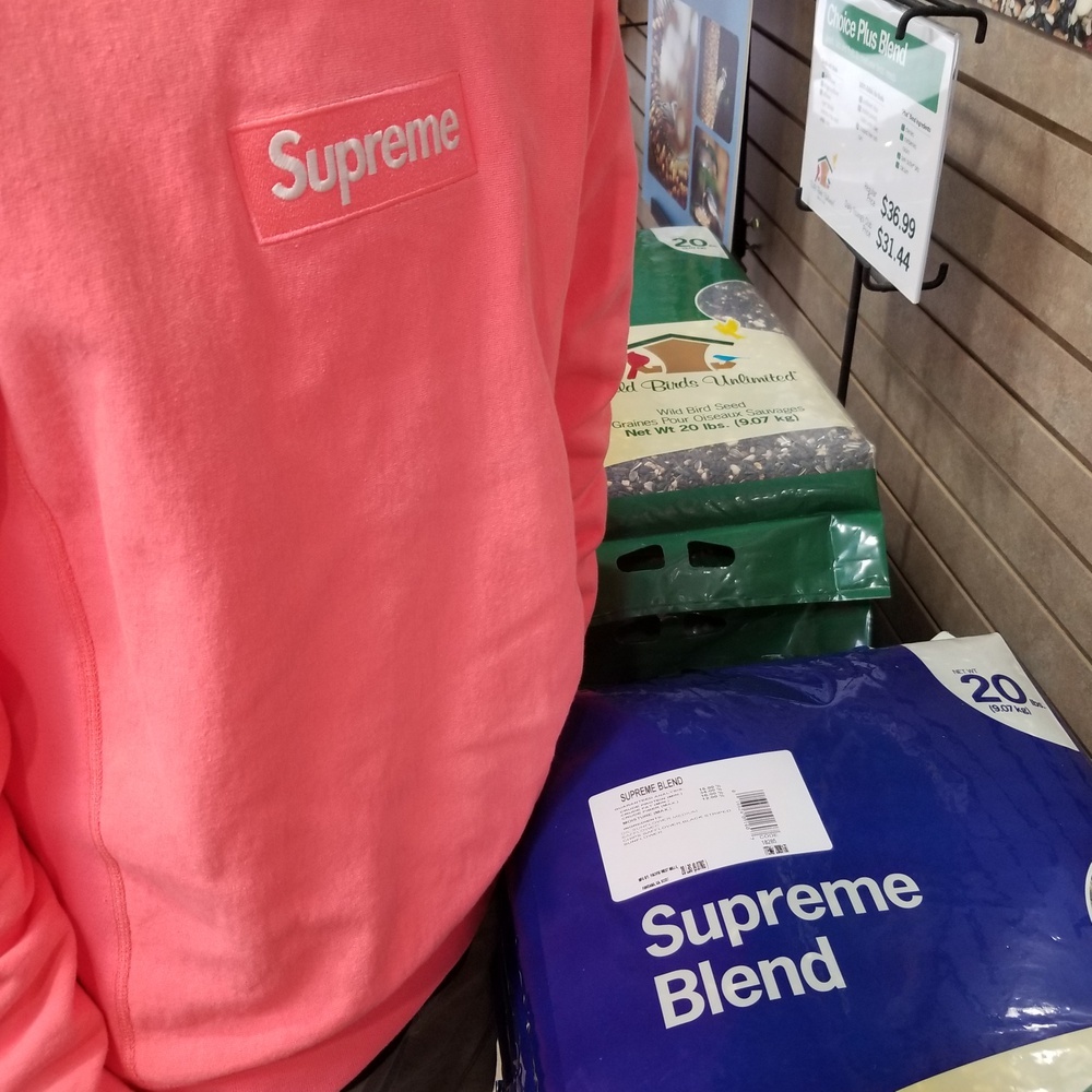 Photo by @averymarlin19