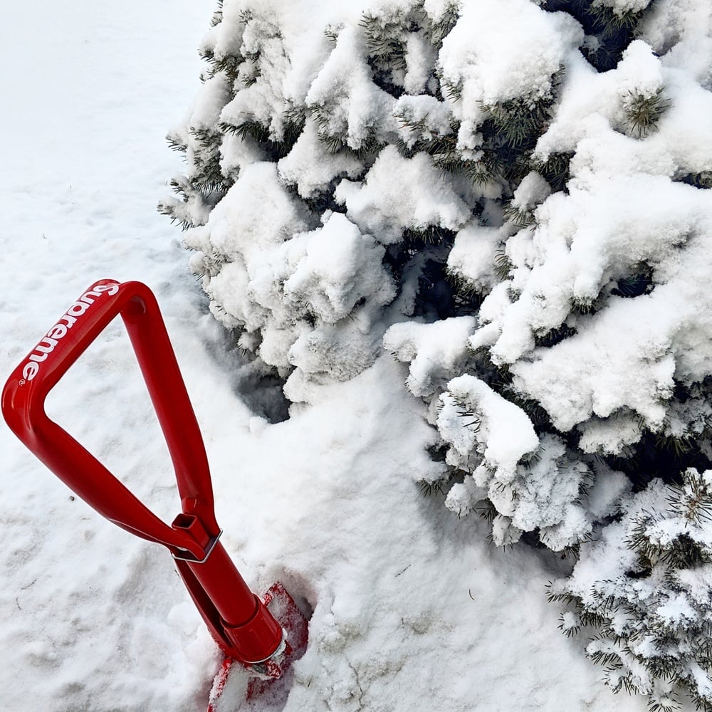 Photo by @hyped_revolution