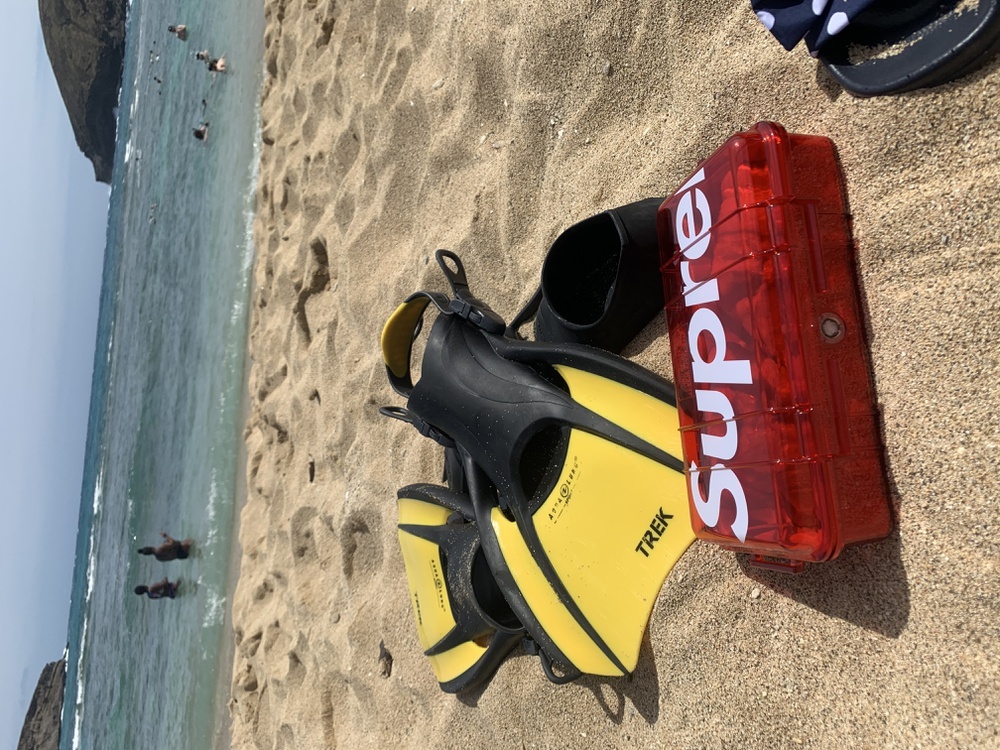 Photo by @416whitestation