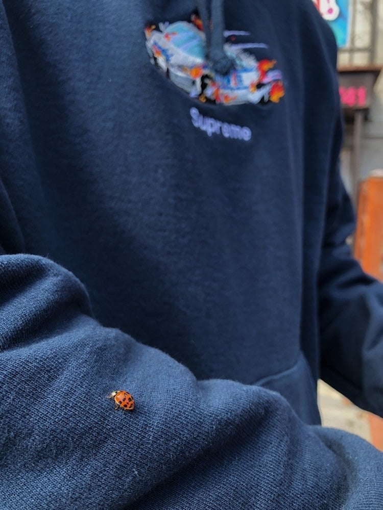 Photo by @agriculteur.sam