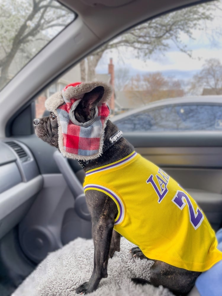 Photo by @Machete_carrillo