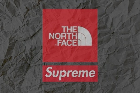 Supreme/The North Face Part 2