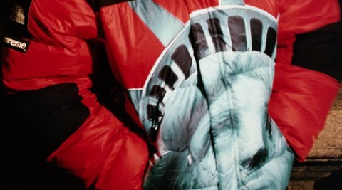 Supreme®/The North Face®