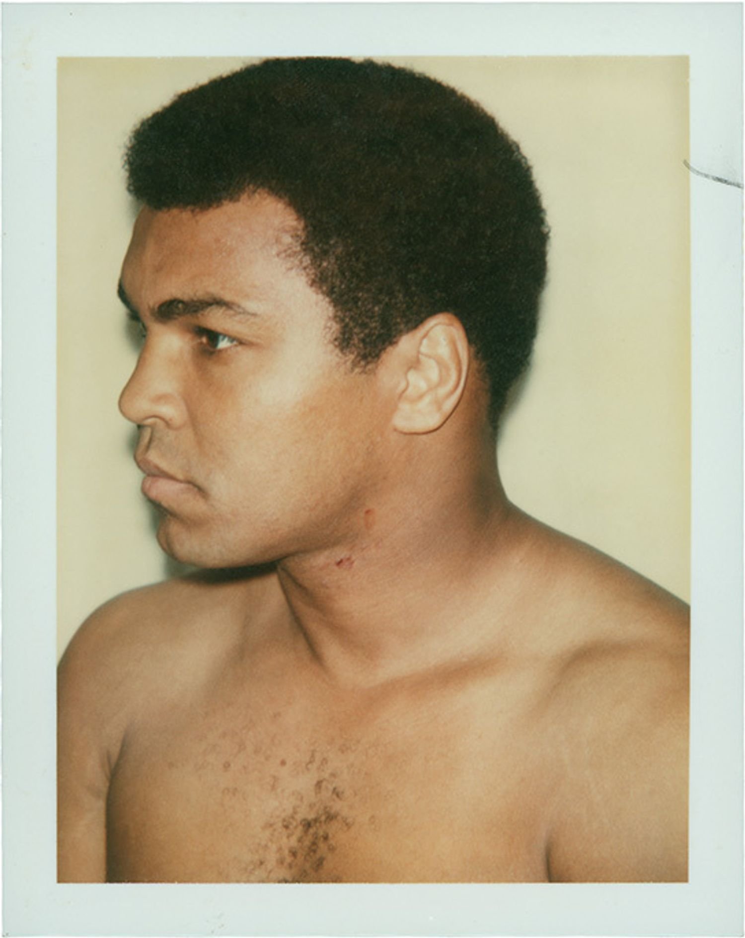 Ali/Warhol for Supreme