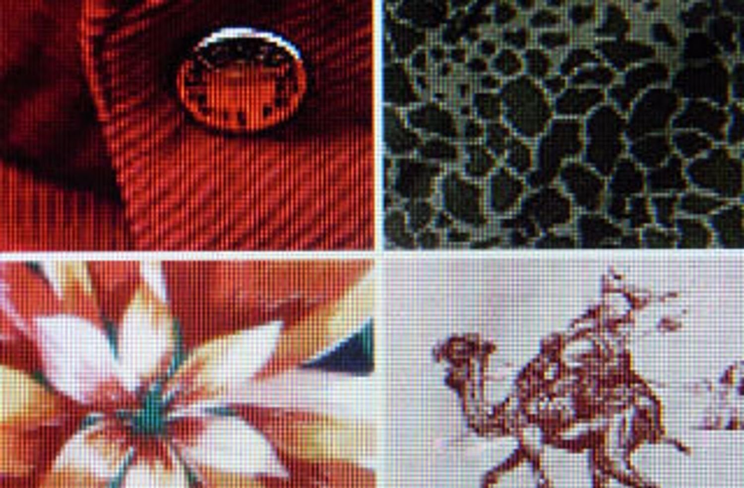 Spring/Summer 2012