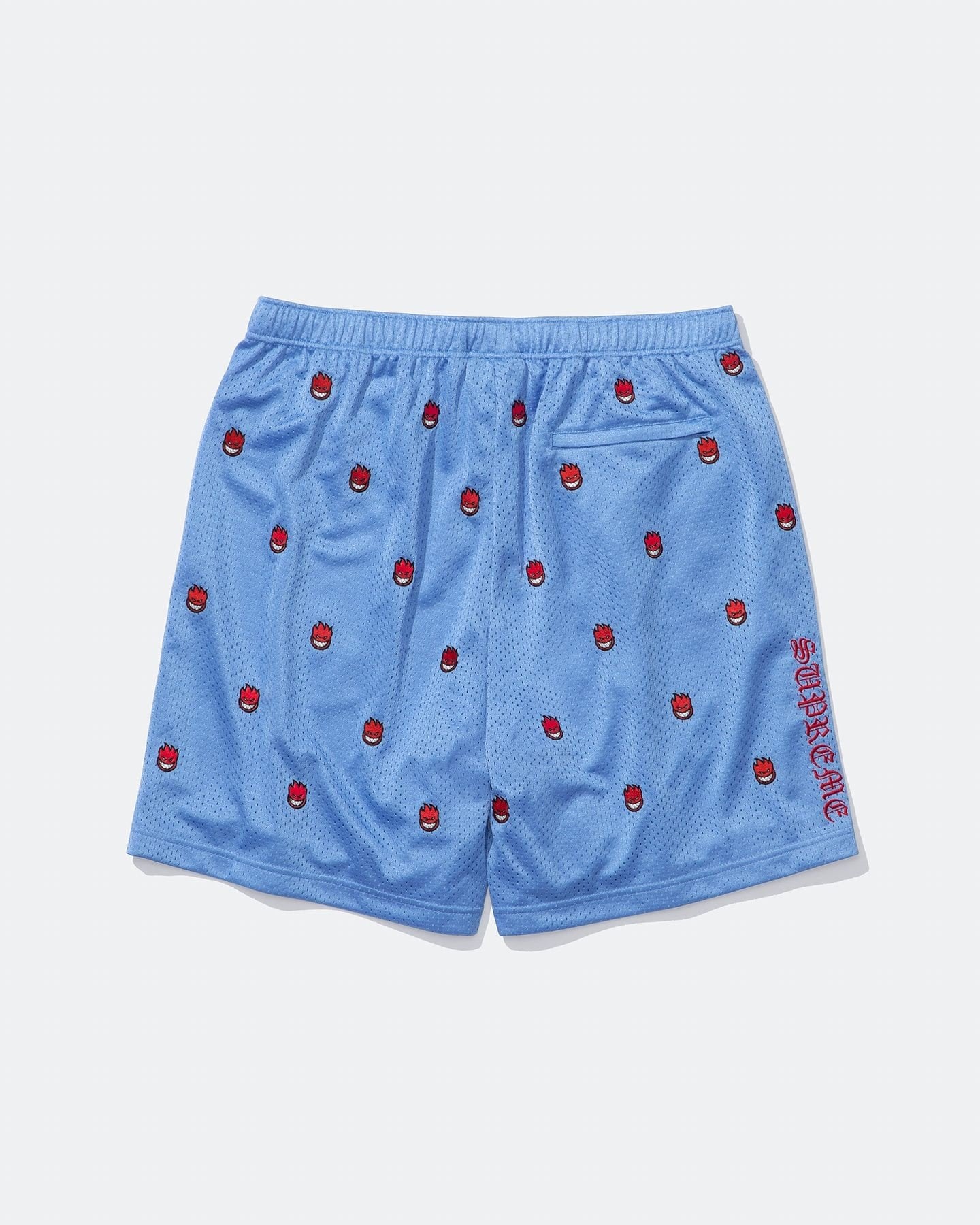 Mesh Short