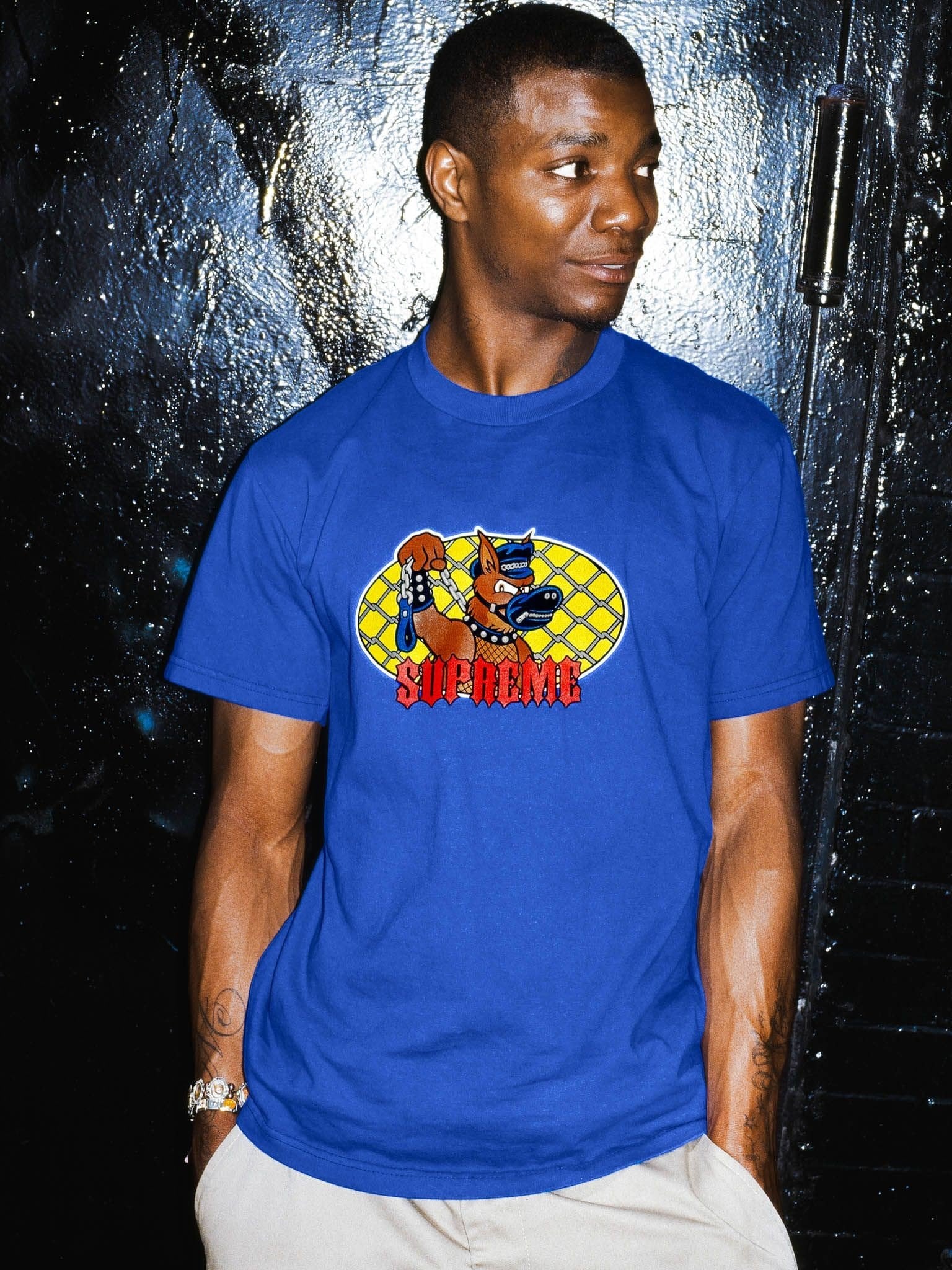Supreme Drops Eight Graphic Tees for Summer