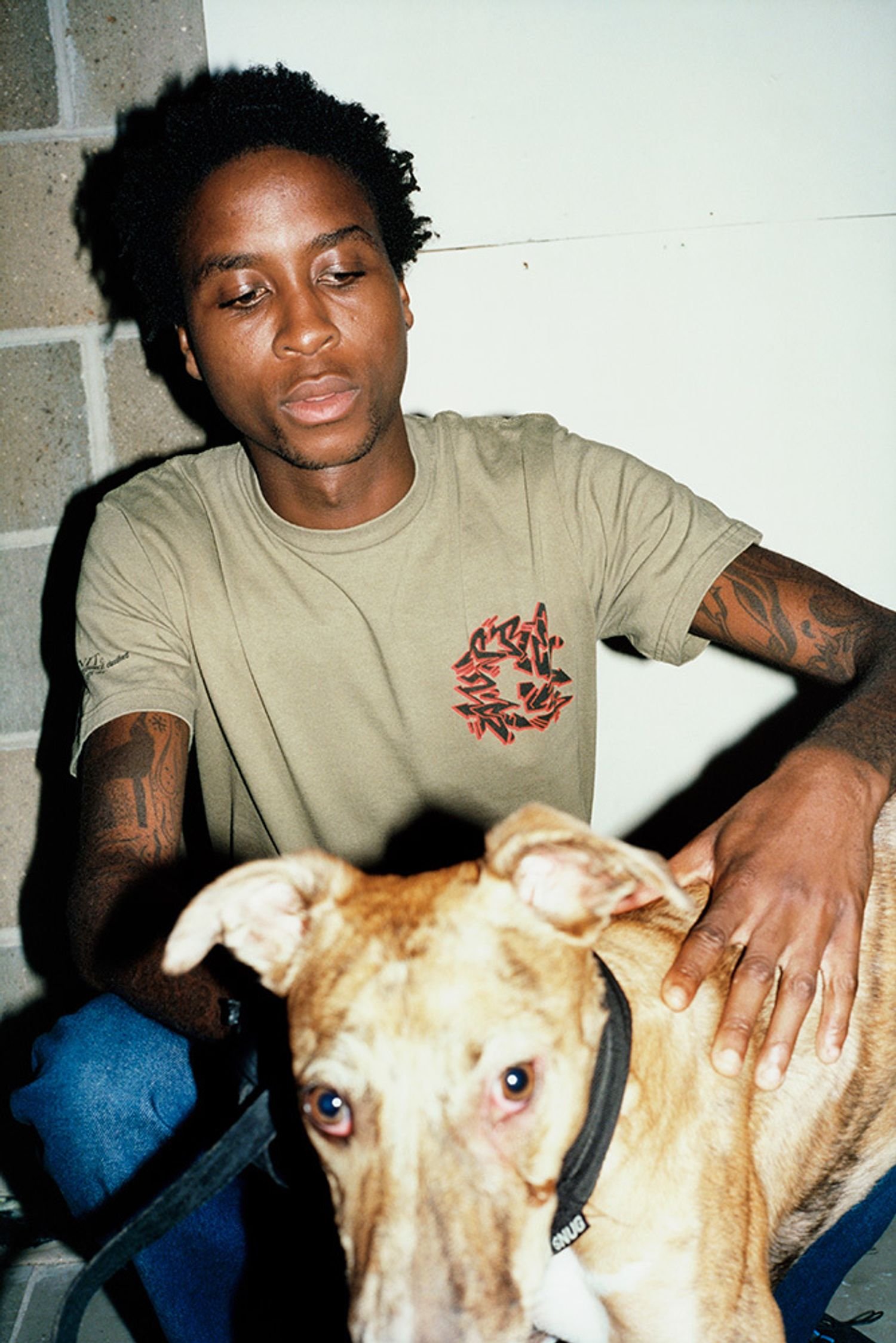 Supreme Fall Tees
