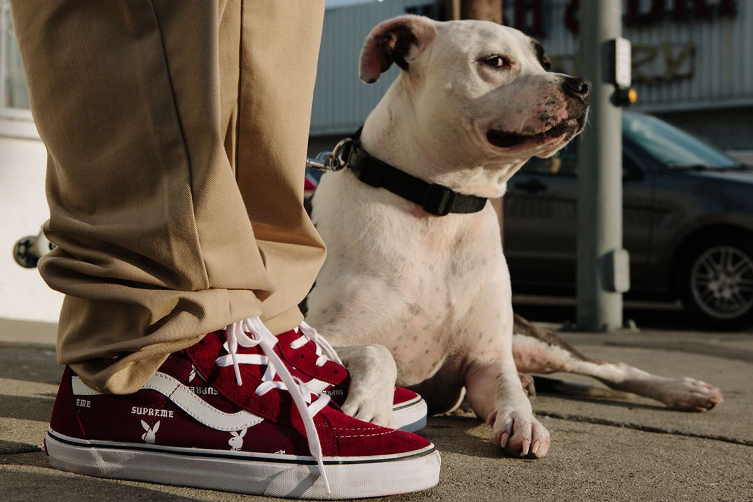 Supreme/P*****y® Vans