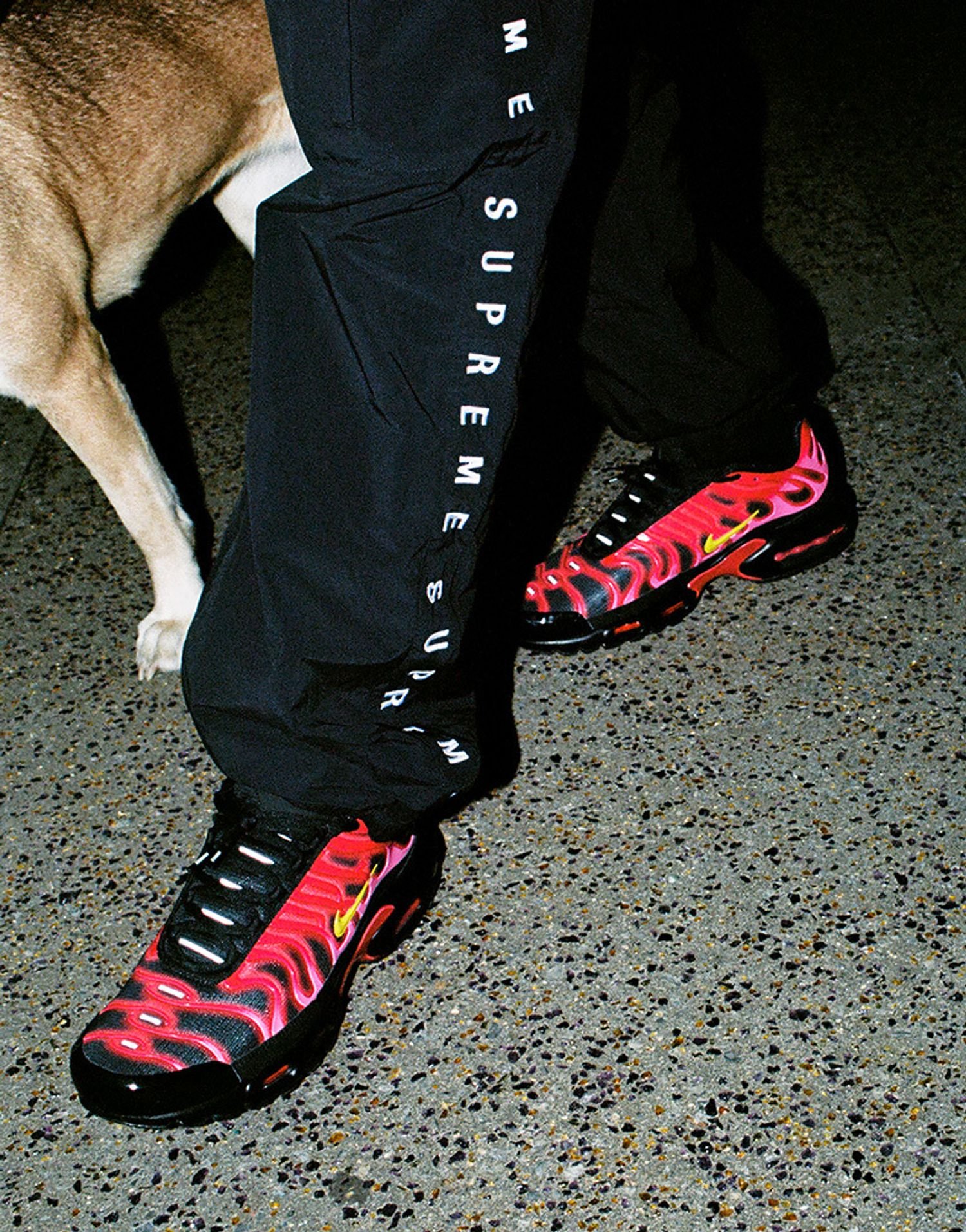 Supreme®/Nike® Air Max Plus