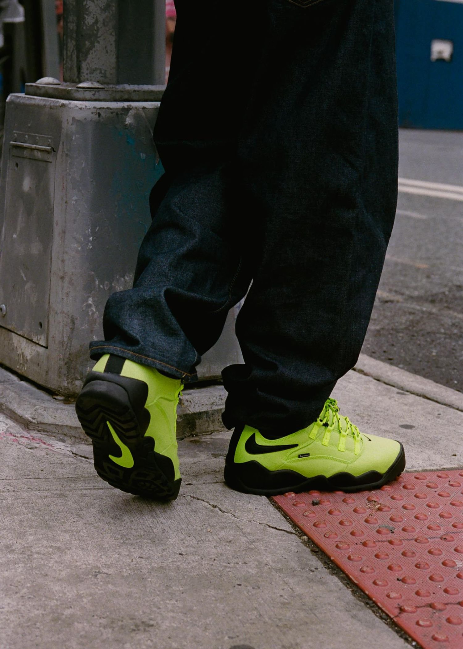 Supreme®/Nike SB Darwin Low