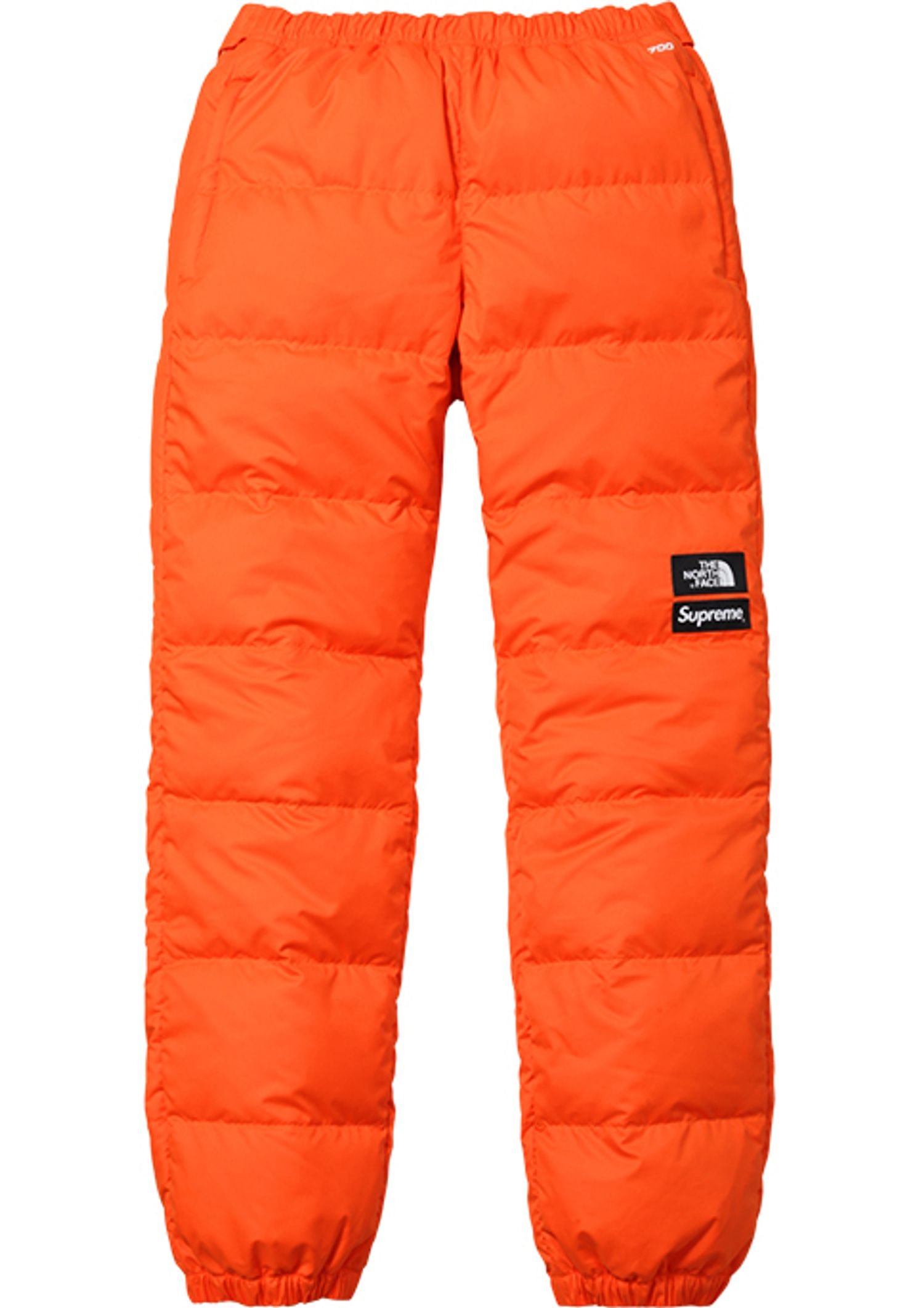 Supreme®/The North Face®