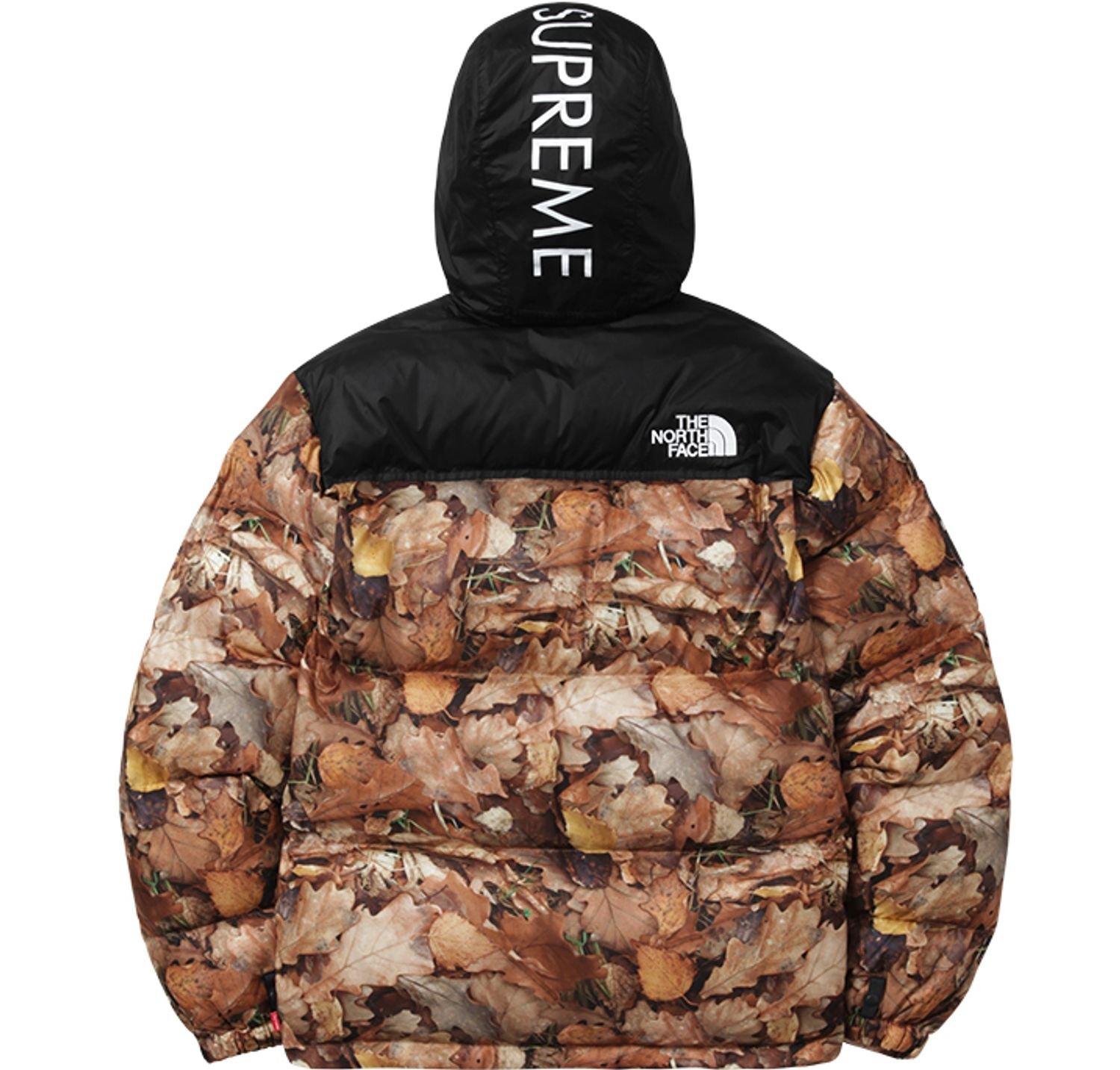 Supreme®/The North Face®
