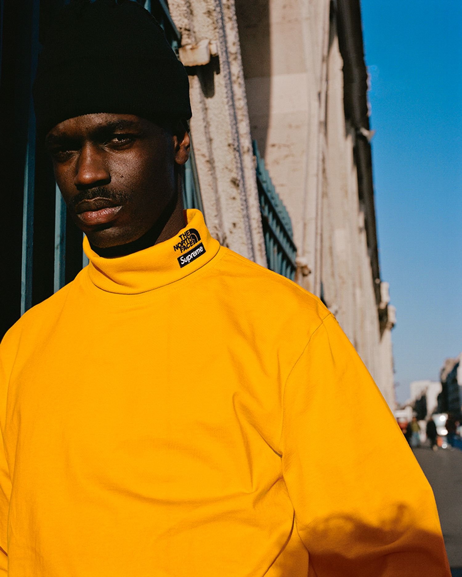 Supreme®/The North Face®