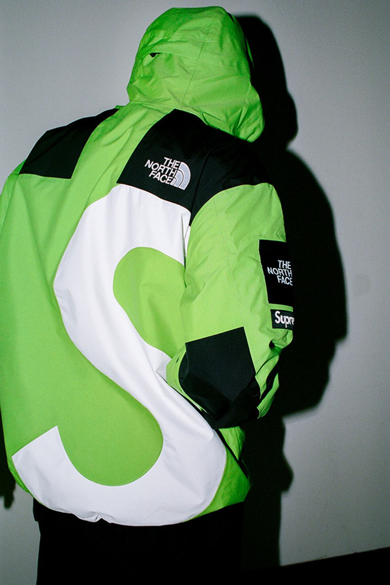 Supreme®/The North Face®