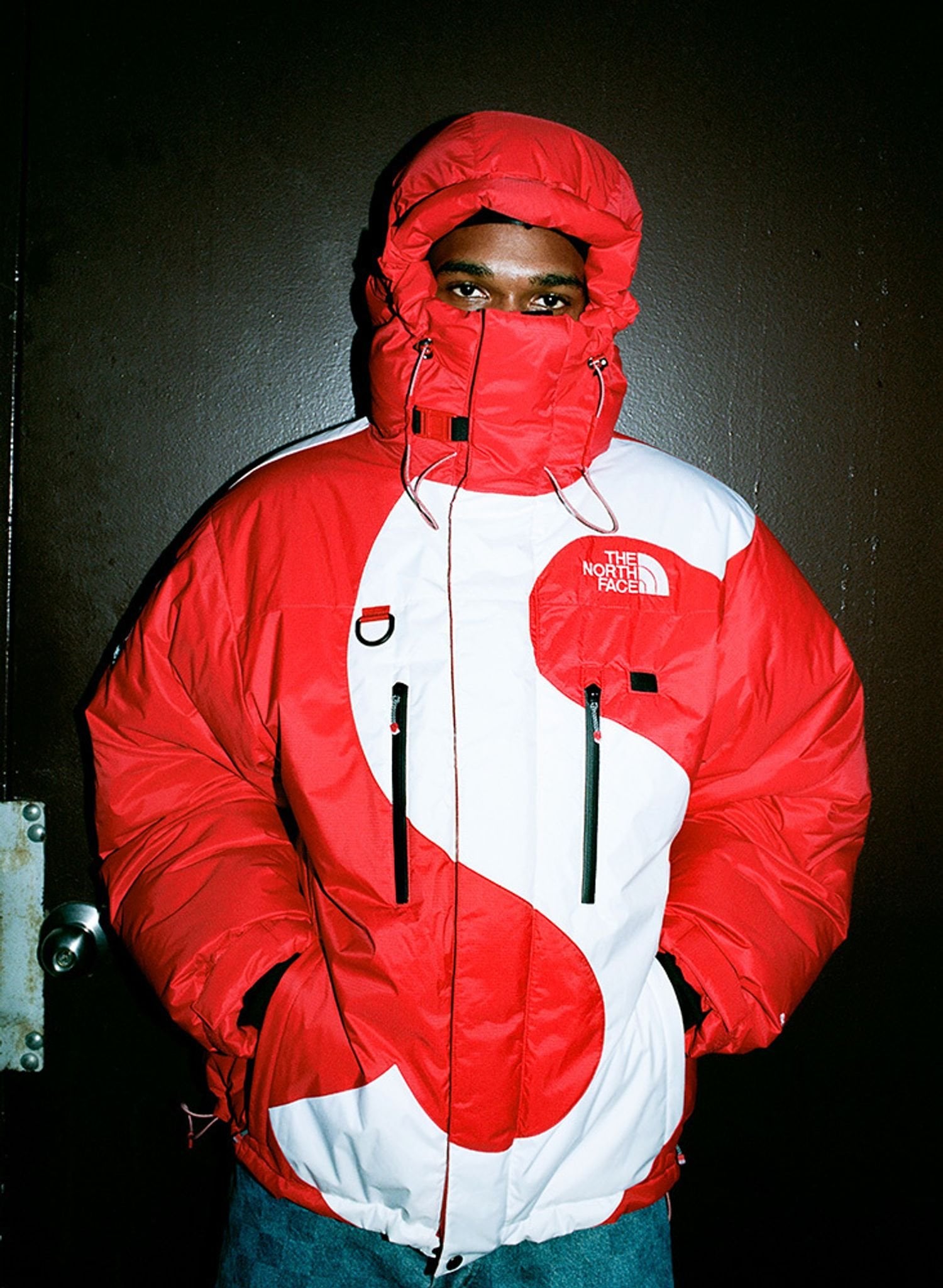 Supreme®/The North Face®