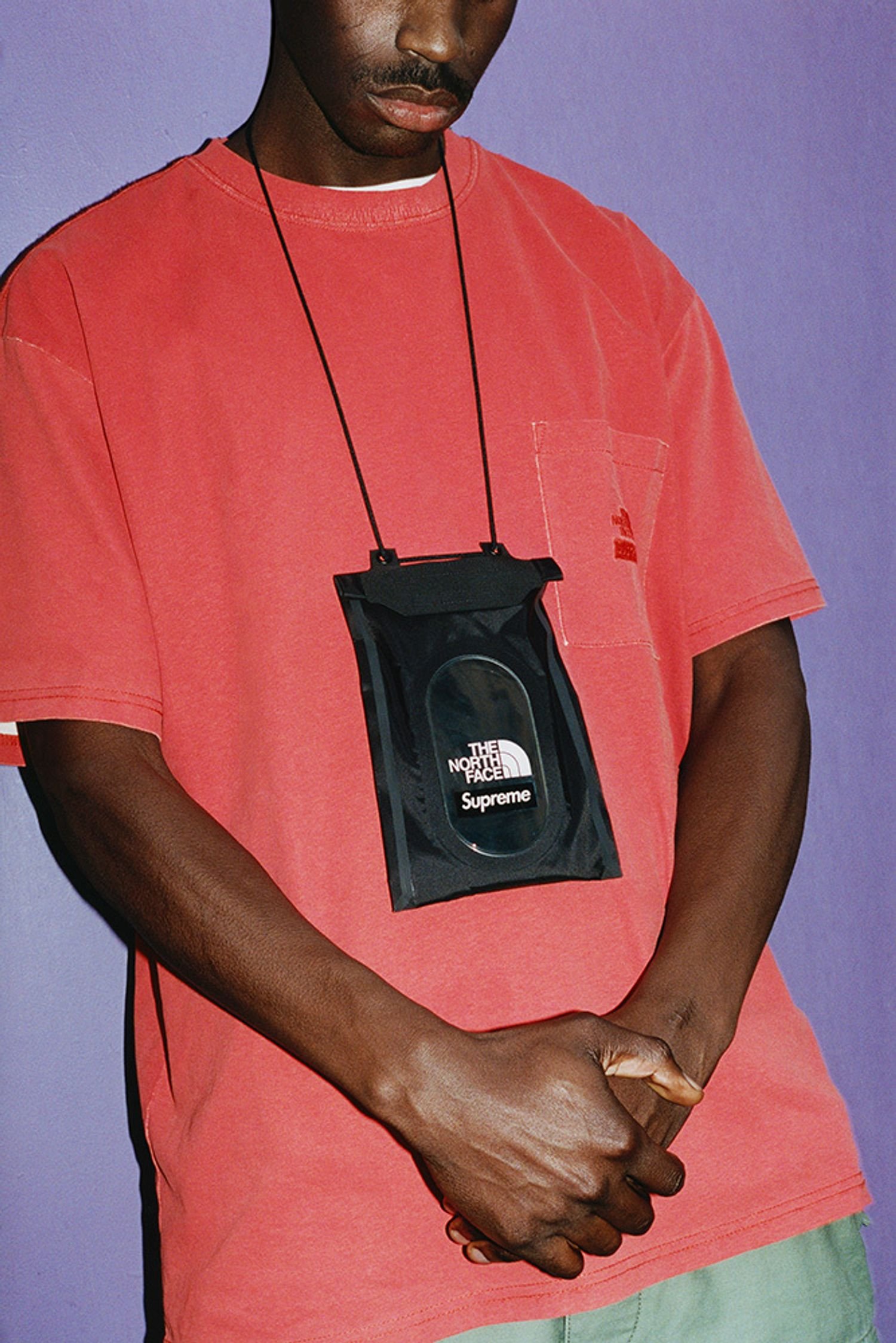 Supreme®/The North Face®