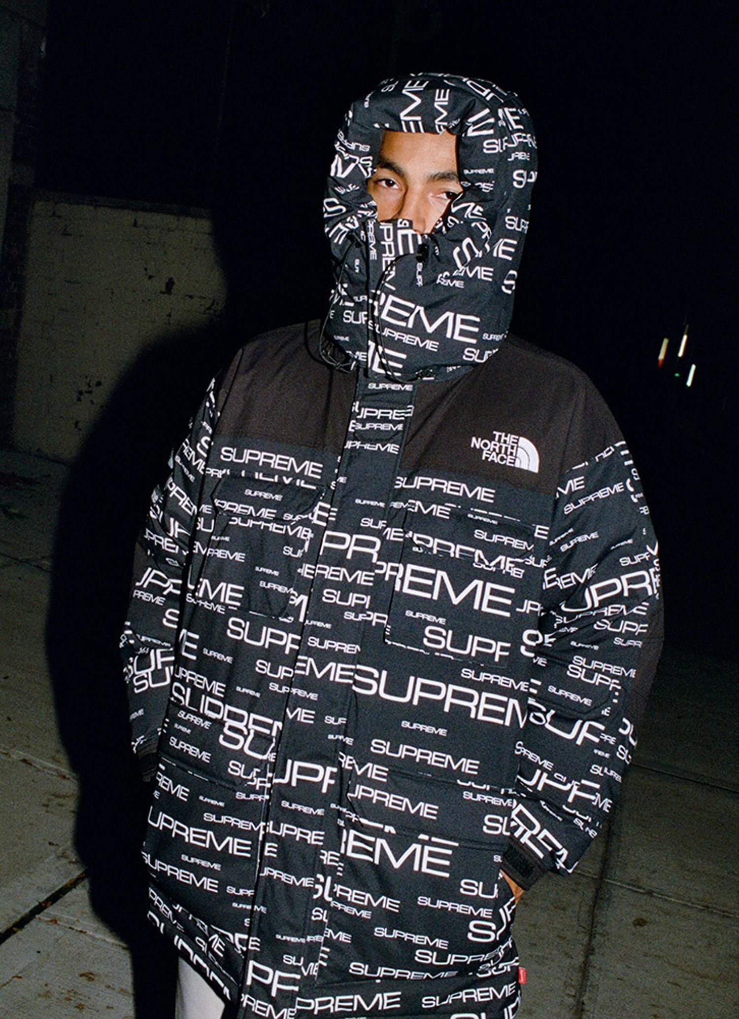 Supreme®/The North Face®