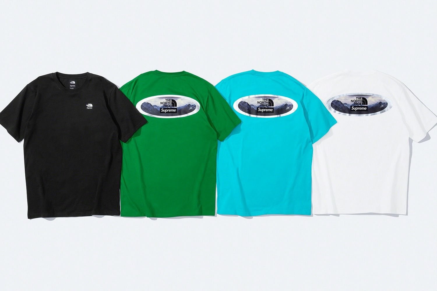 Supreme®/The North Face®