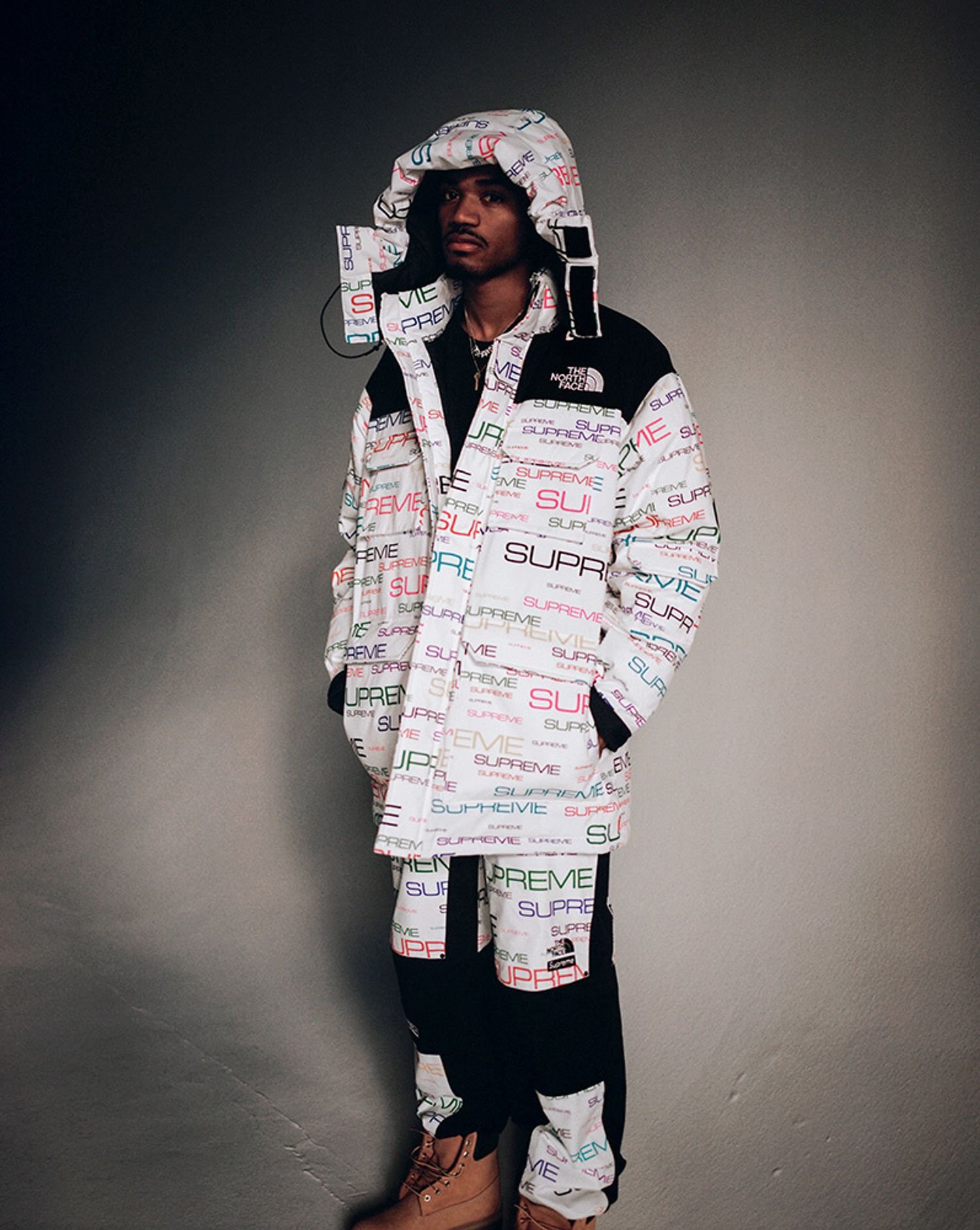 Supreme®/The North Face®