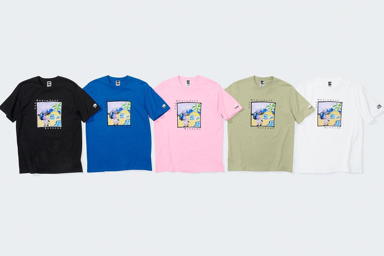 Supreme®/The North Face®