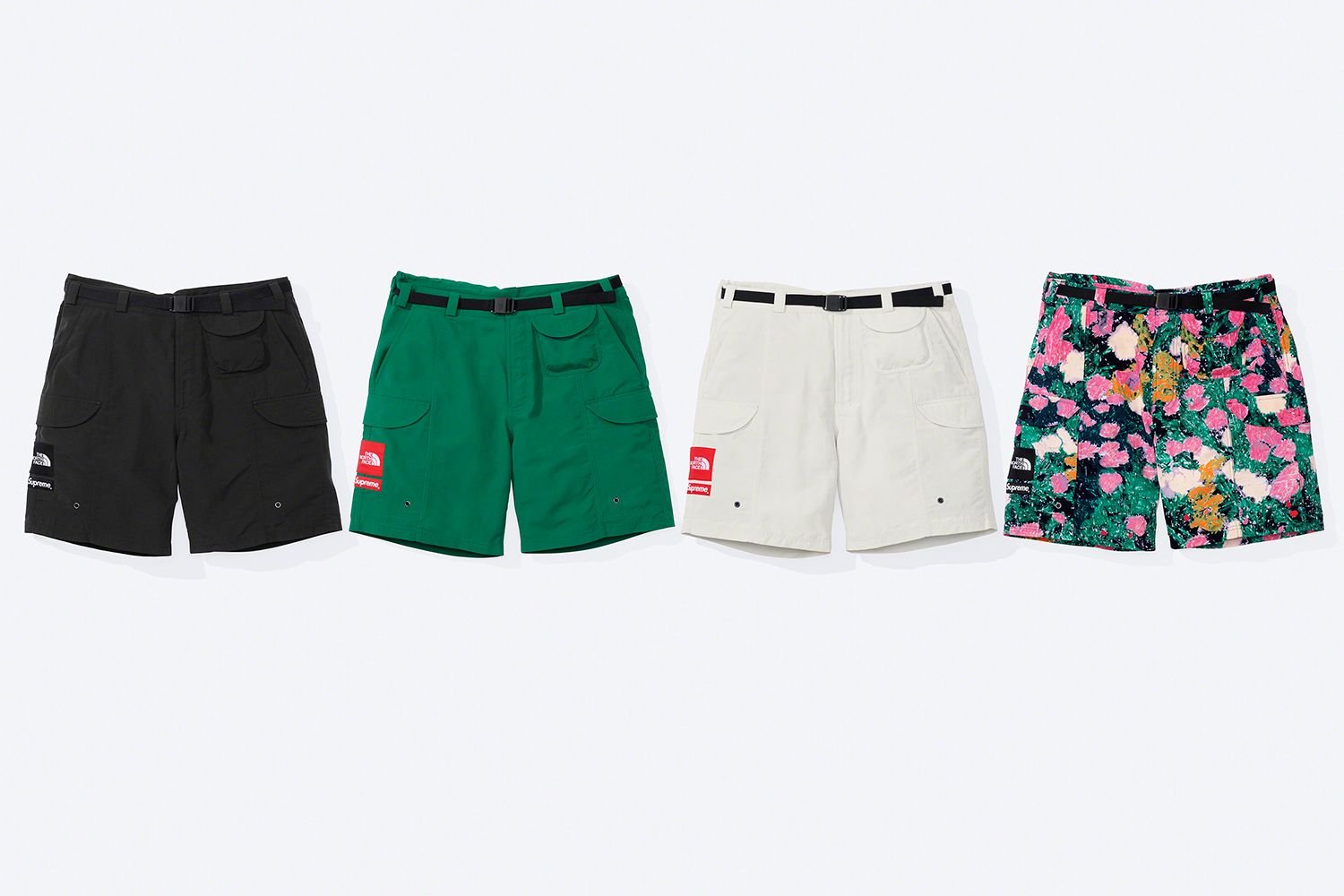 Supreme®/The North Face®