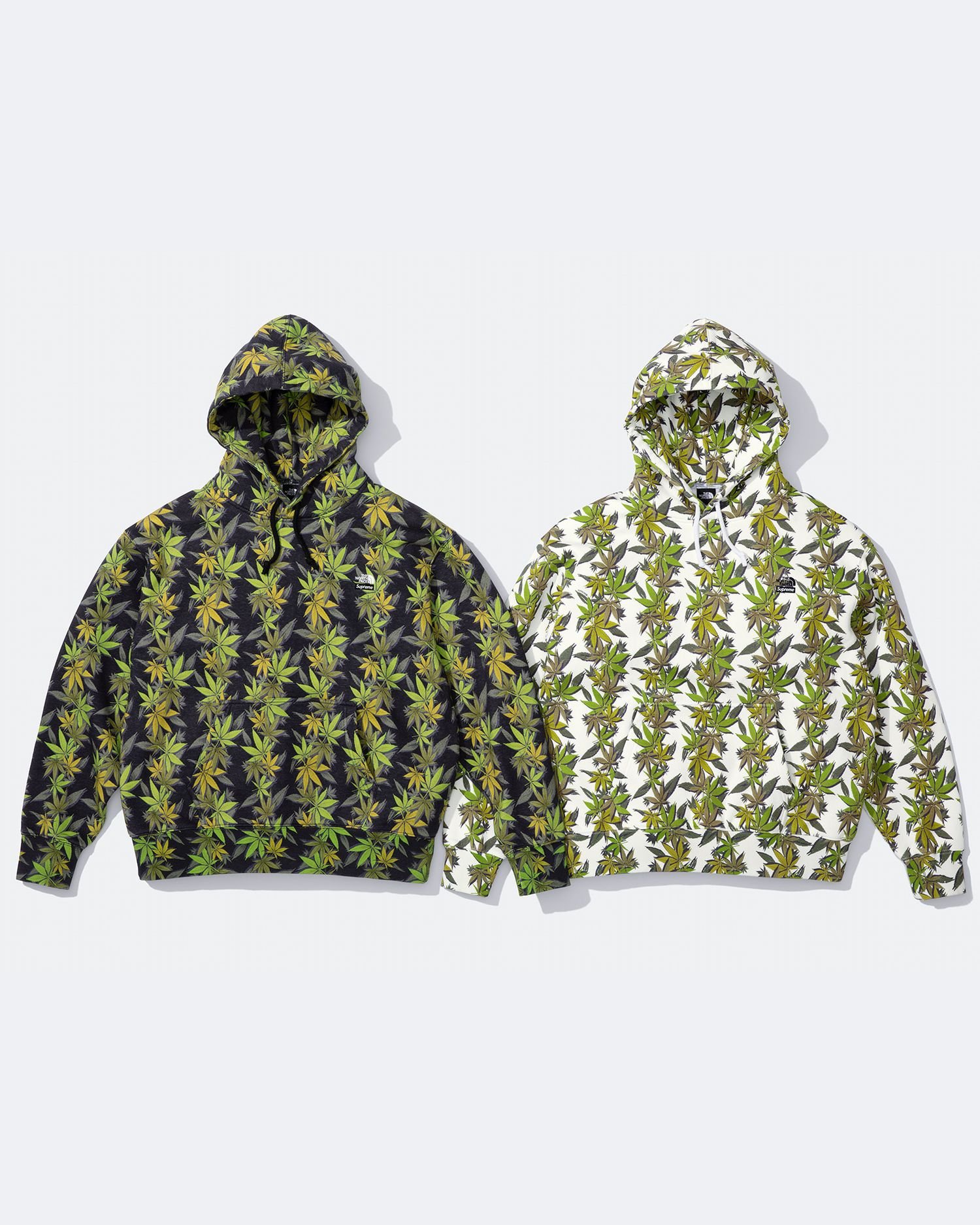 Supreme®/The North Face®
