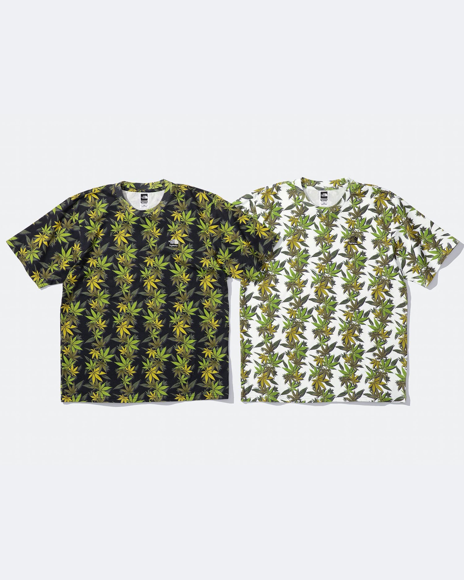 Supreme®/The North Face®