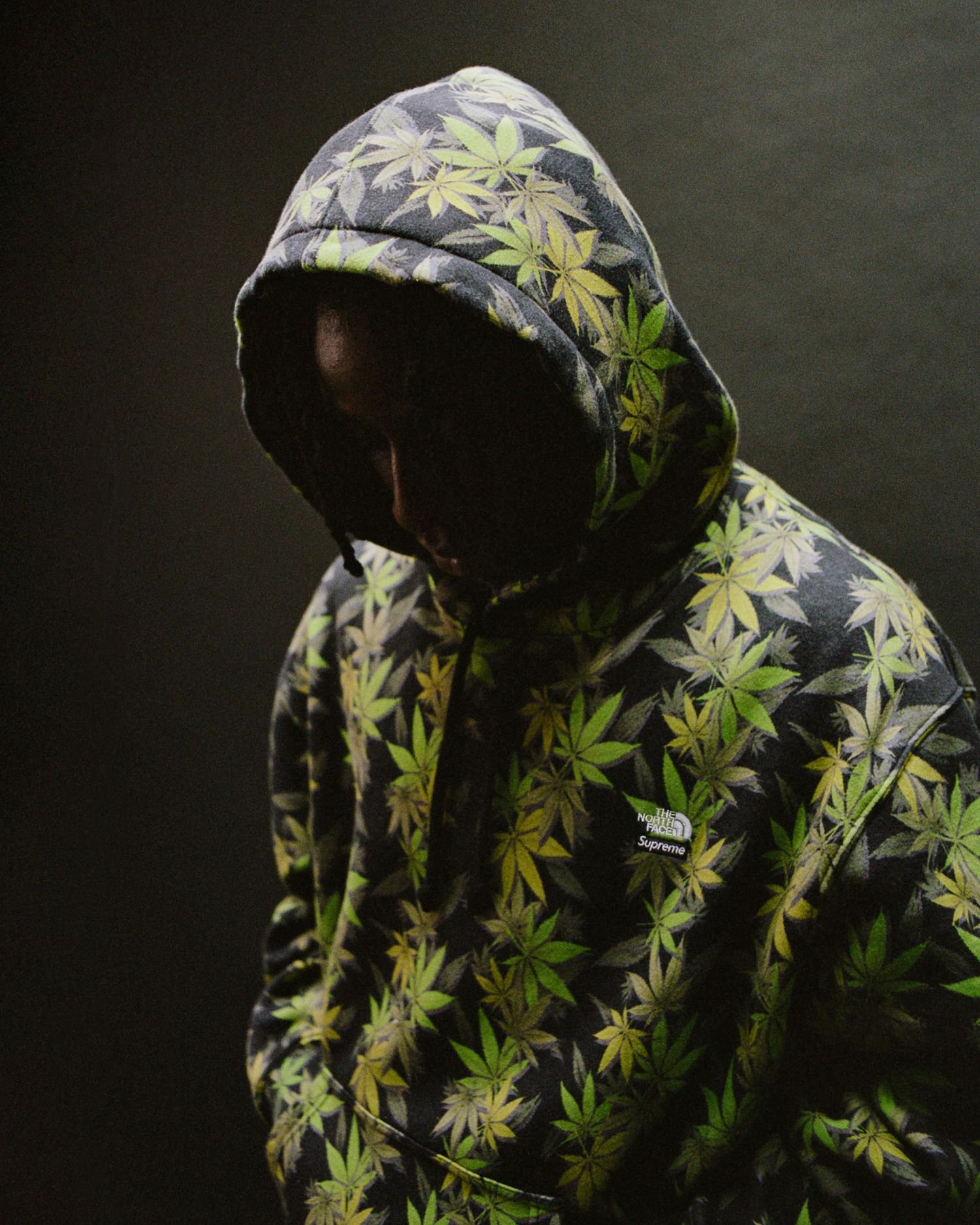 Supreme®/The North Face®