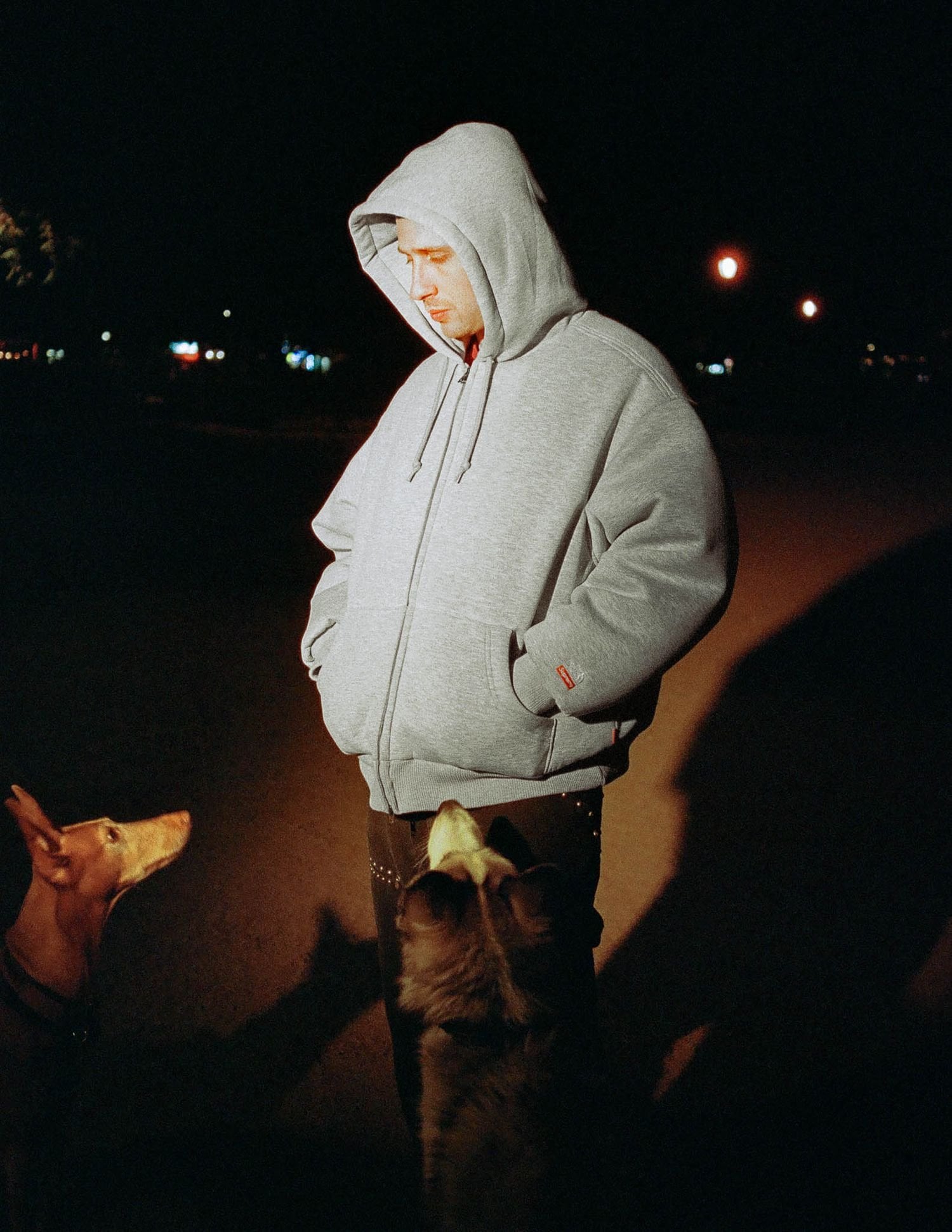 Supreme®/The North Face®