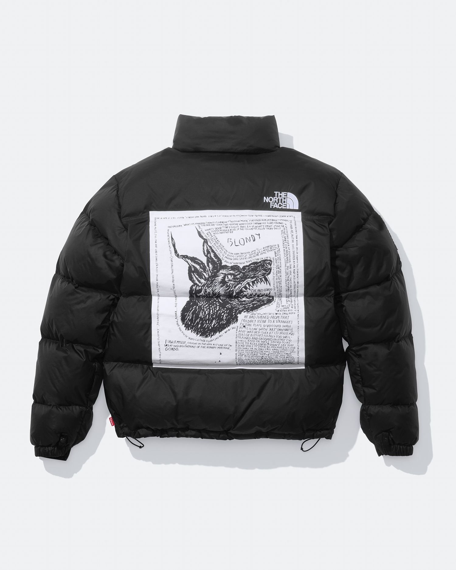 Supreme®/The North Face®