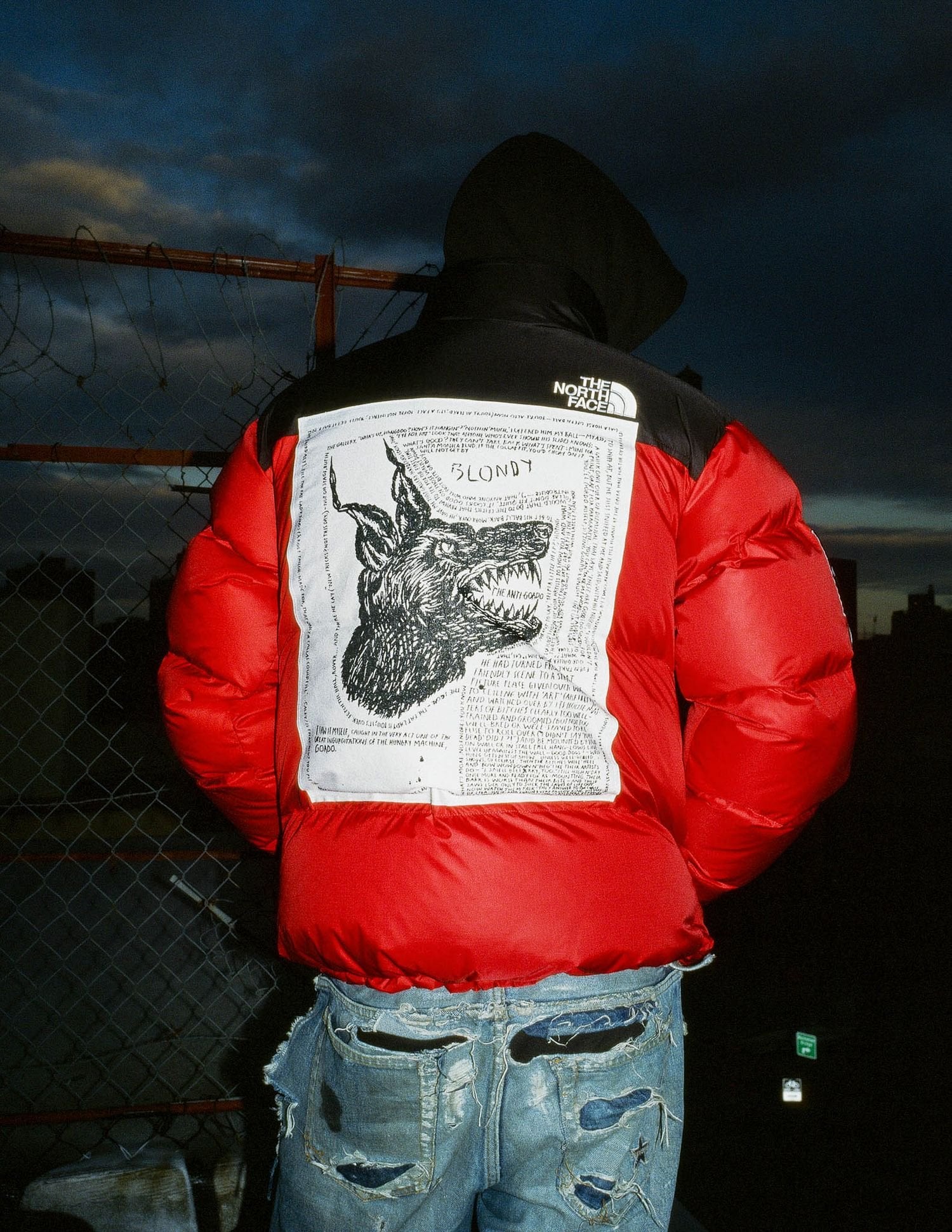 Supreme®/The North Face®