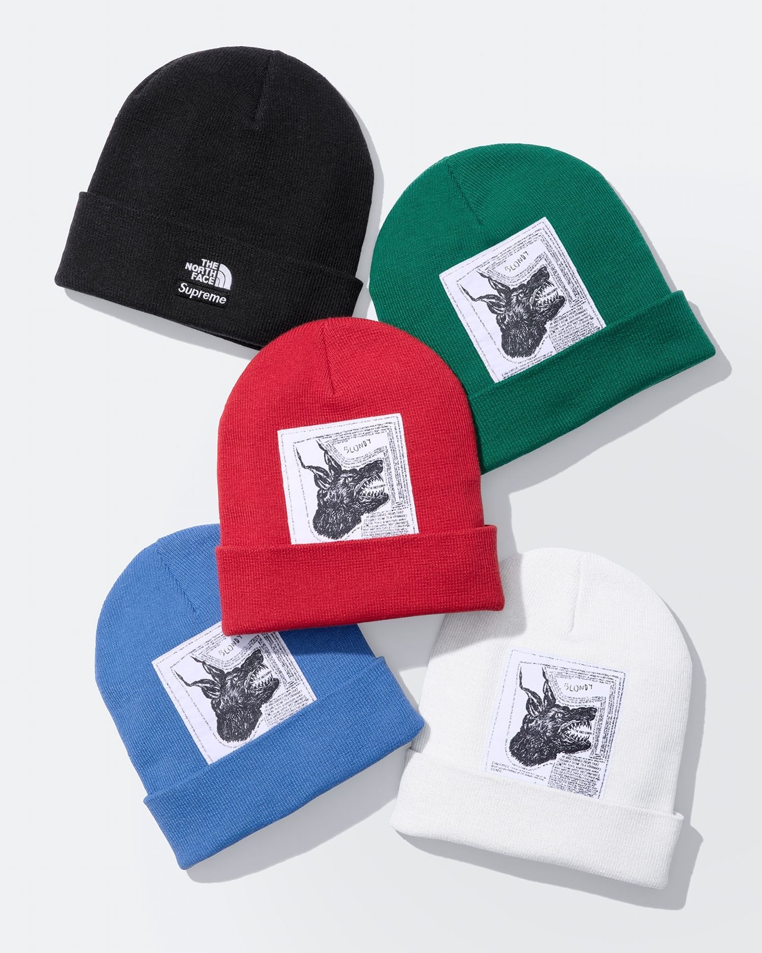 Supreme®/The North Face®
