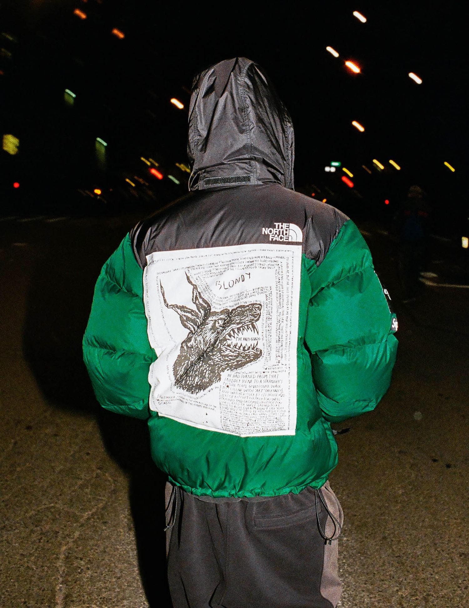 Supreme®/The North Face®