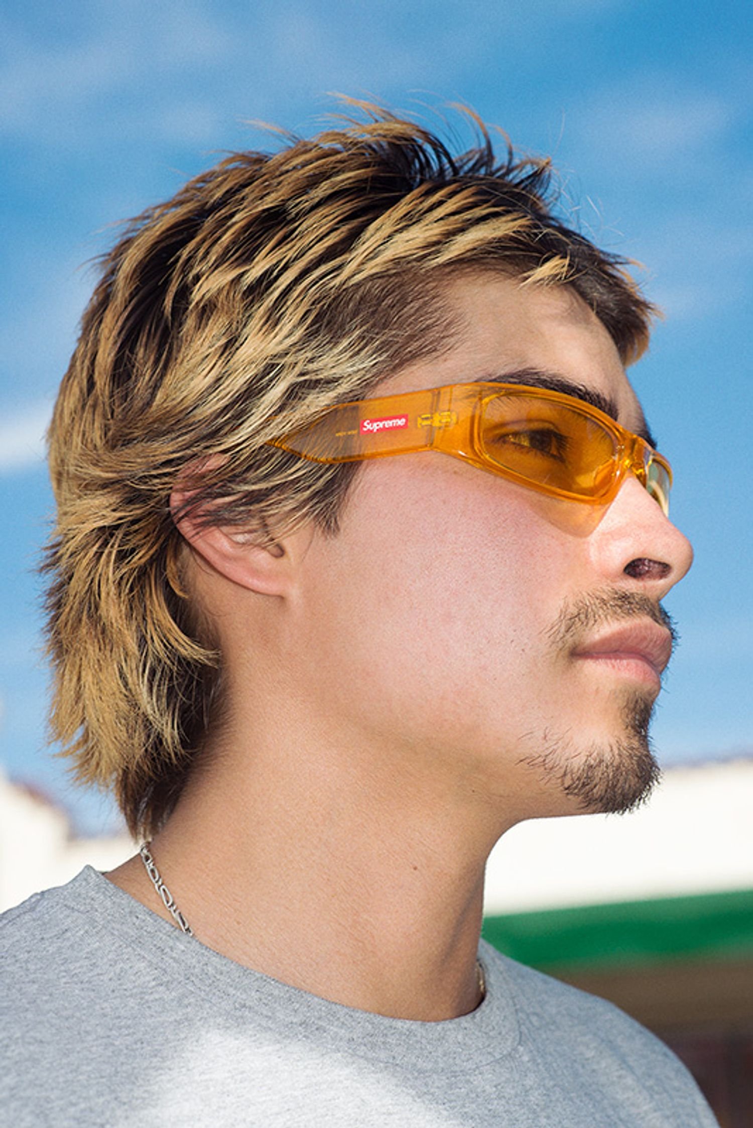 Supreme Spring Sunglasses