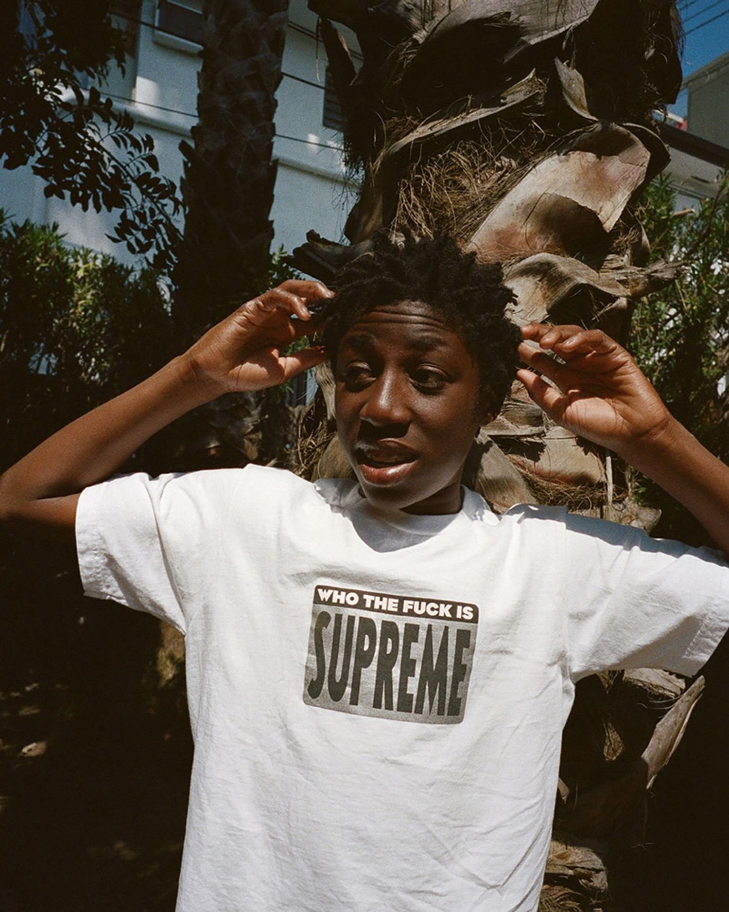 Supreme Spring Tees