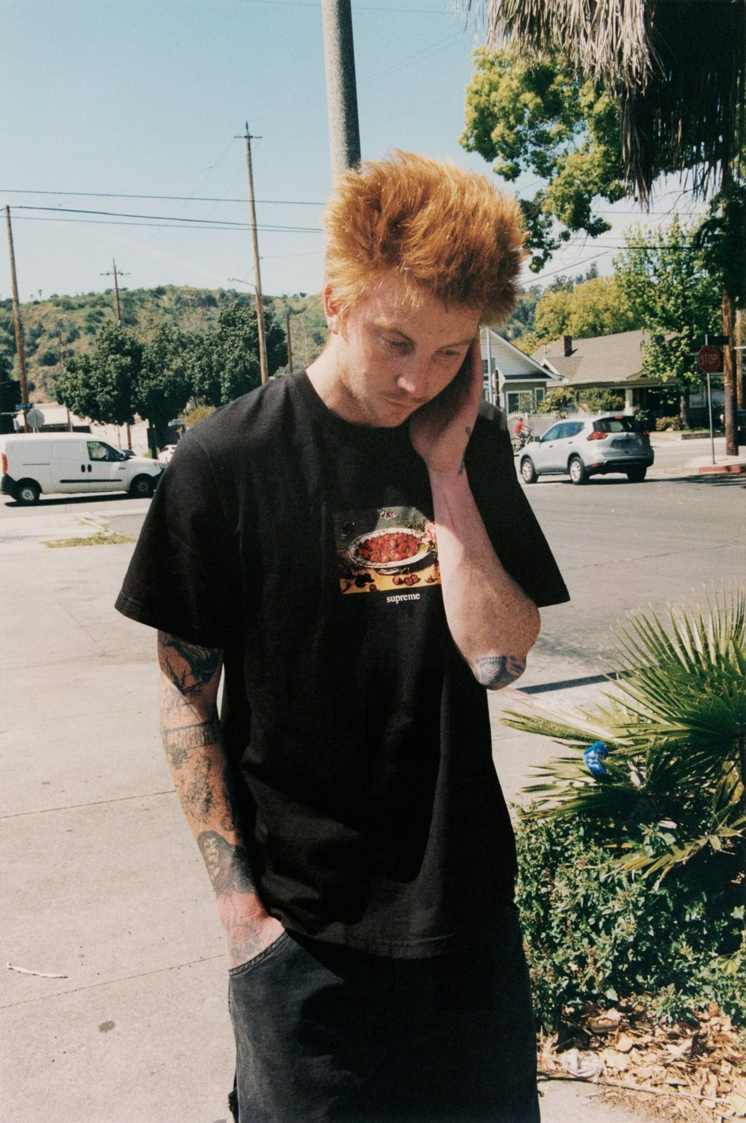 Supreme Spring Tees