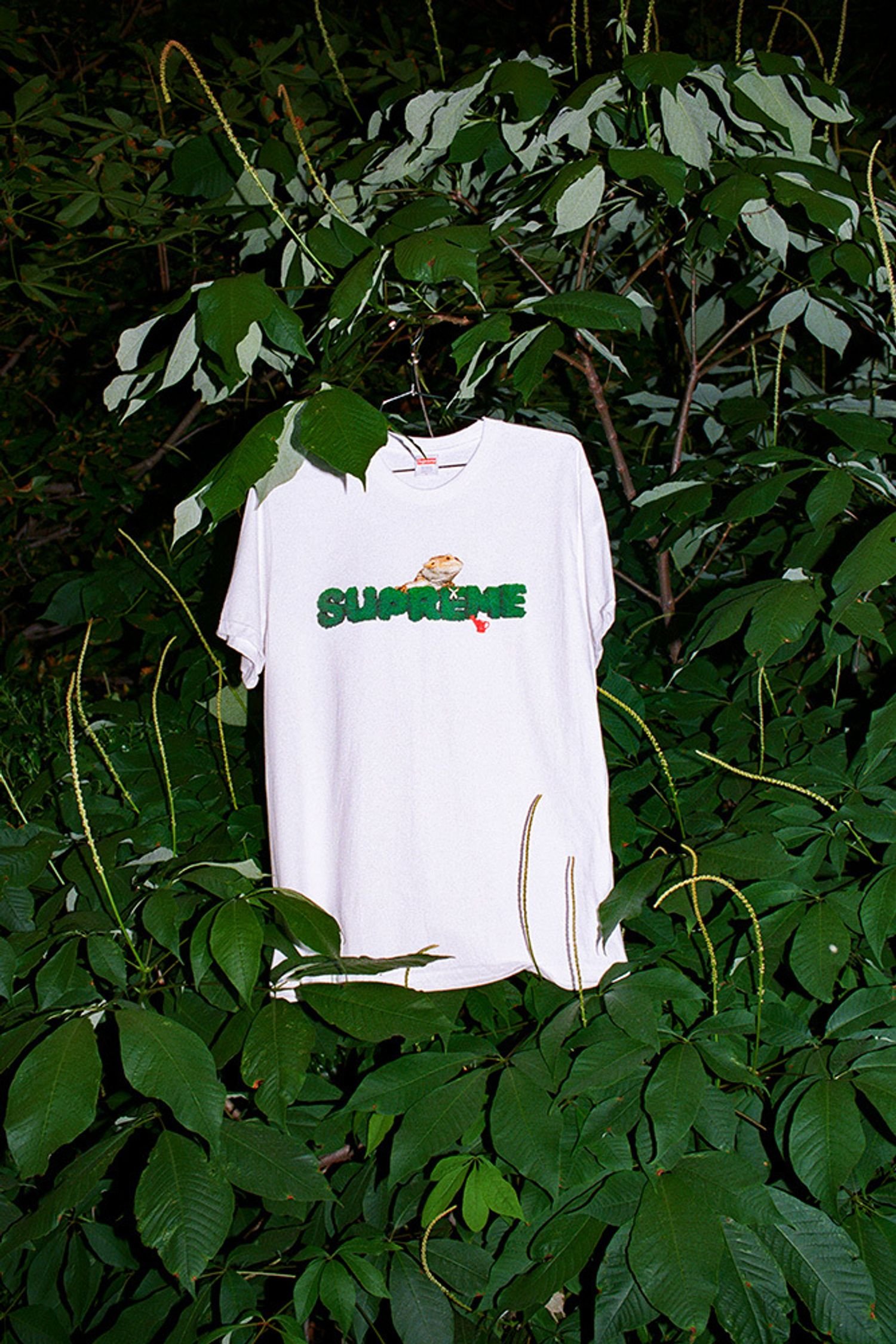 Supreme Summer Tees